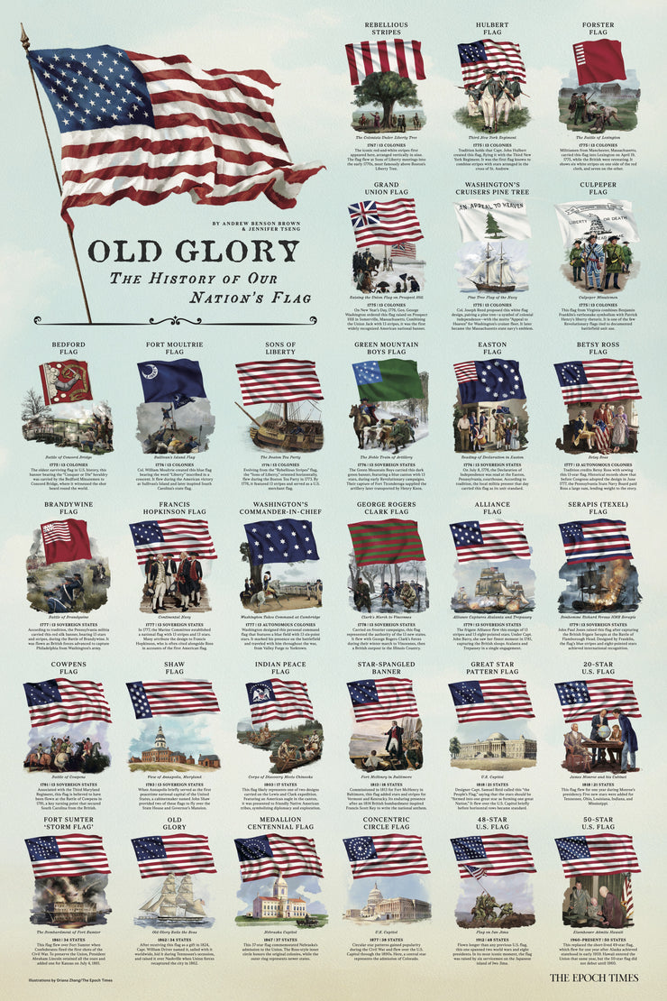 The American Flag infographic